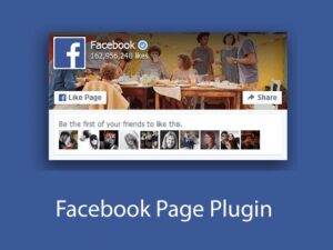 Facebook Page Plugin - makes it easy to promote your Facebook activity on your website and drive engagement on social media.