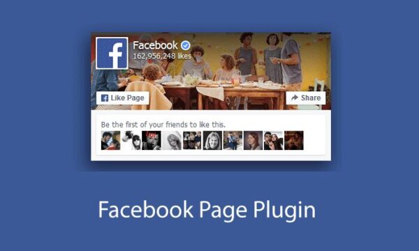 Facebook Page Plugin - makes it easy to promote your Facebook activity on your website and drive engagement on social media.