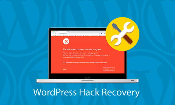 WordPress Hack Recovery​ - process includes: Determining the cause of the hack, Evaluating the amount of damage caused to the website, Cleansing all infected files, Restoring unrecoverable files from backup, Performing tests and analysis to confirm full website restoration.