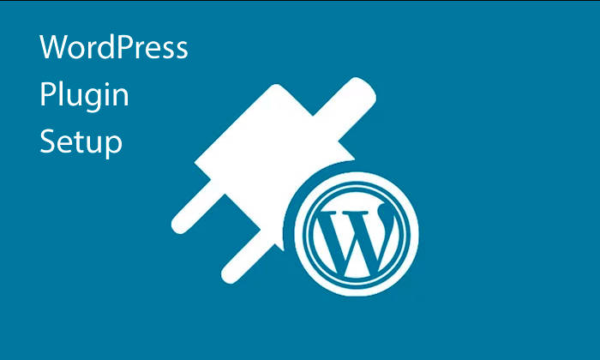 WordPress Plugin Setup - Adaptability is one of the reasons why WordPress is such a good choice for small business websites.