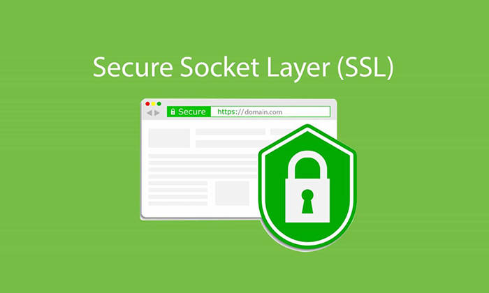 SSL Certificate - is the most important thing you can do for your website to increase security and establish trust with your visitors and customers.